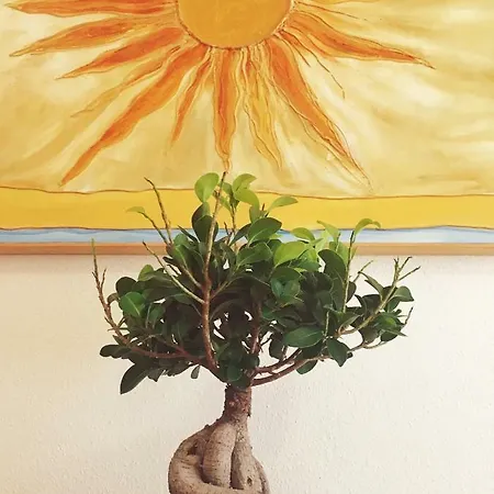 Pensionat Acqua Chiara