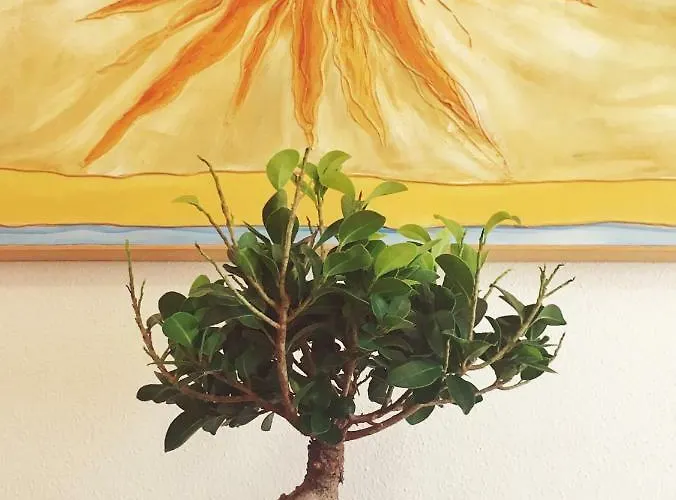 Maison d'hôtes Acqua Chiara