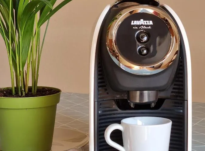 Acqua Chiara 招待所 阿尔盖罗